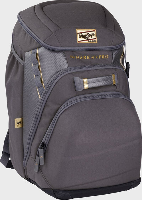 Rawlings Gold Collection Backpack: GCBKPK Equipment Rawlings 