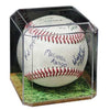 Markwort Baseball Display Case Balls Markwort 