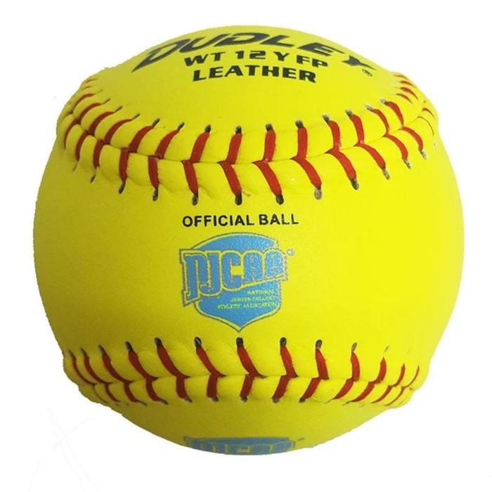 Dudley NJCAA Thunder Heat Fastpitch Softball - One Dozen: 4N143 Balls Dudley 